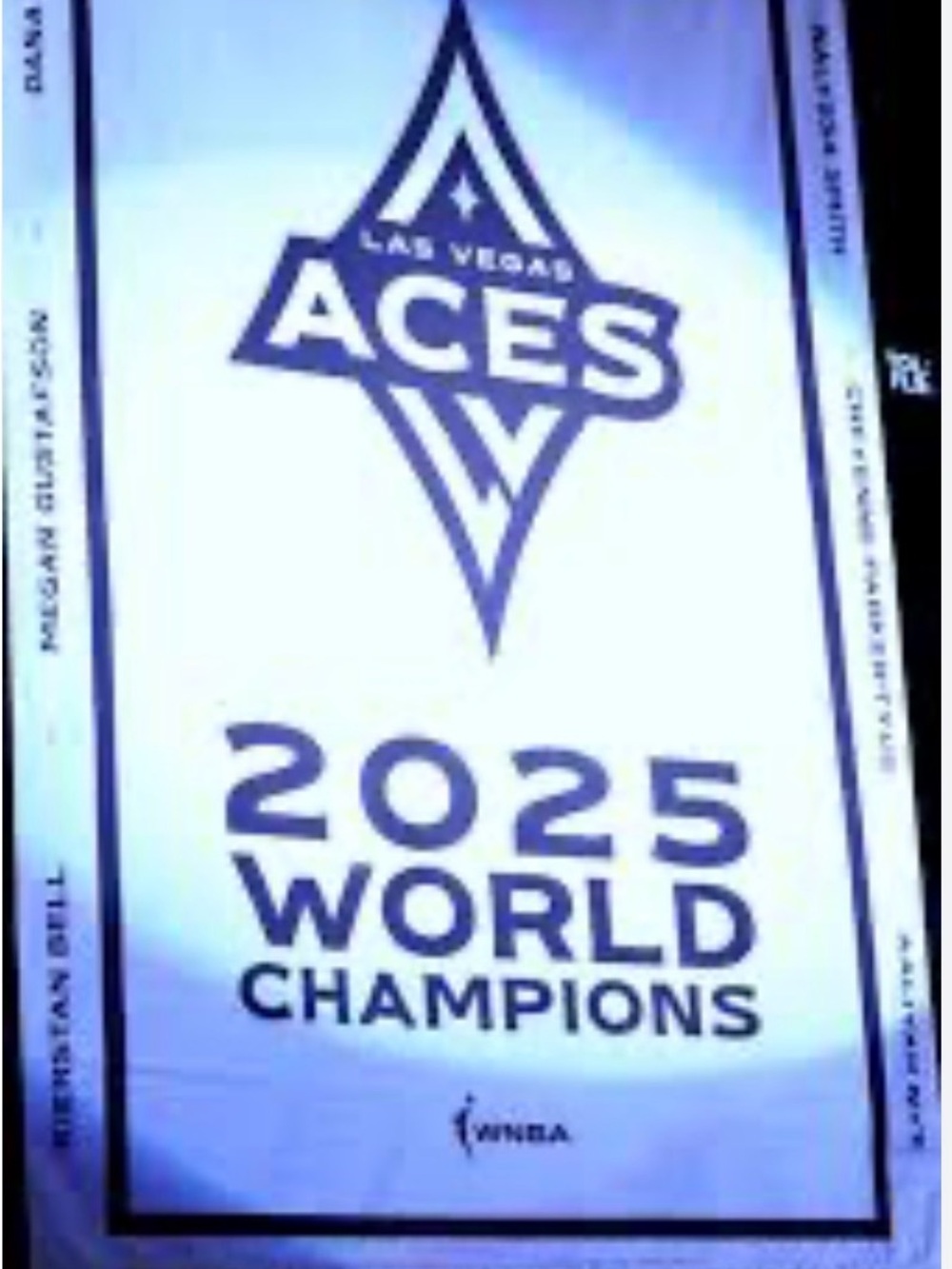 Las Vegas Aces banner. 2025 World Champions WNBA.